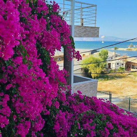 Begonvil Otel Çeşme Buitenkant foto